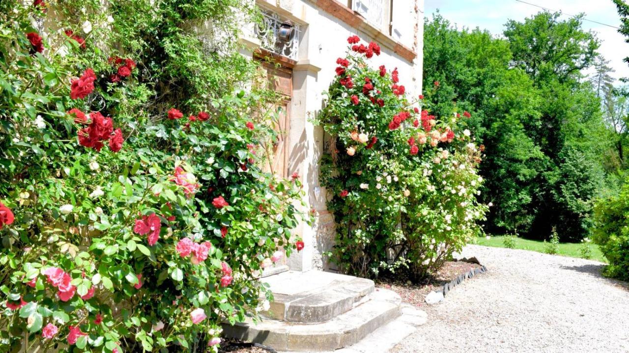 Chateau De Belespy La Bastide-de-Besplas Bagian luar foto